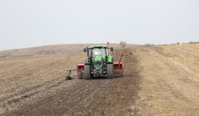 Edirne’de buğday ekimi devam ediyor