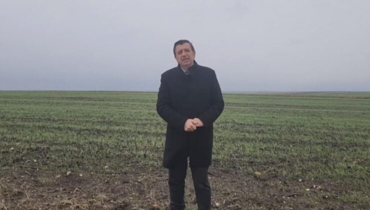 Buğdayda ithalat rekoru