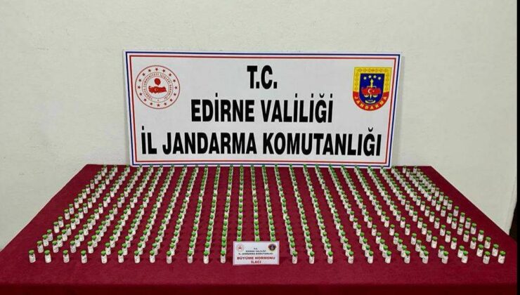 Otomobilde 490 hormon ilacı ele geçirildi