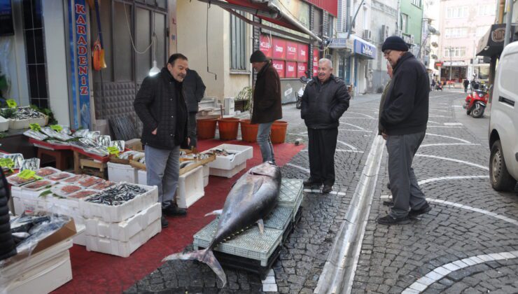 Saros’ta 160 kiloluk orkinos yakalandı
