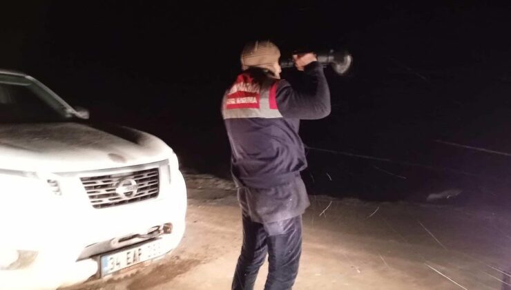 Kaçak avcılık yapan 2 kişi yakalandı