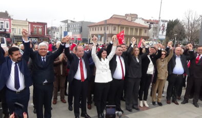 Yüz yıllık dev çınarın “Filiz”i