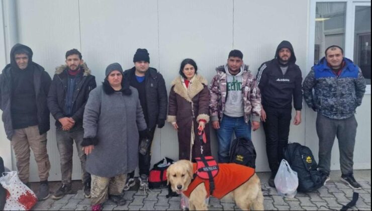 Köpeğiyle yurt dışına kaçarken yakalandı