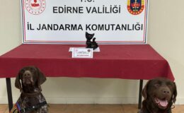 Uyuşturucuyu biblo içine gizlemişler