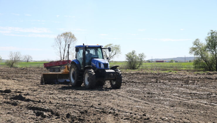 Çeltik tarlaları ekime hazırlanıyor