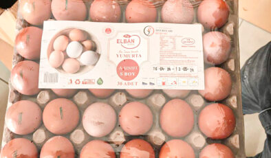 Cezaevi yumurta üretimine devam