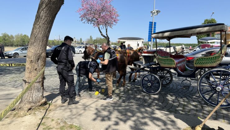 Faytoncular arasında silahlı kavga