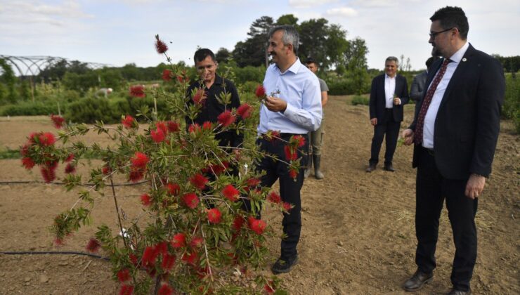 Tıbbi ve aromatik bitkiler bahçesi hakkında bilgi aldı