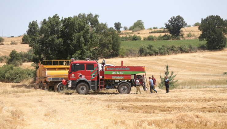 Buğday tarlası küle döndü