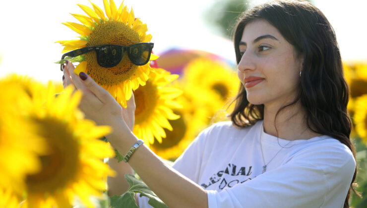 Ayçiçeği tarlaları fotoğraf tutkunlarını ağırlıyor