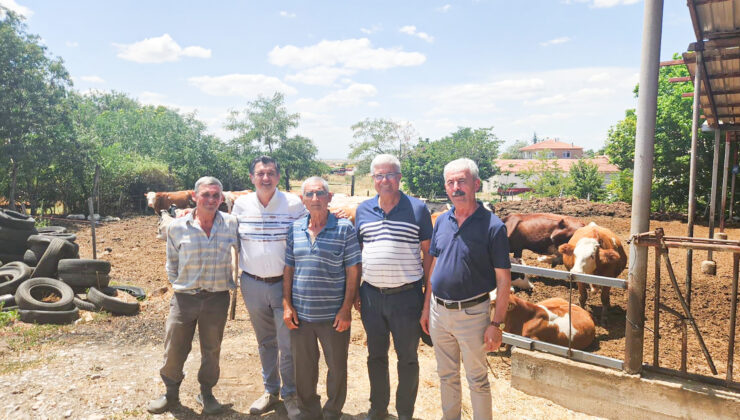 ‘AKP hayvancılığı da bitirdi’