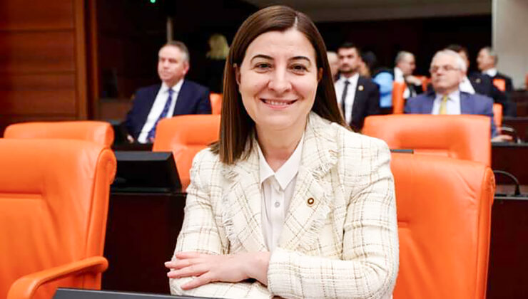 ‘Tek korkum sokak köpekleri’