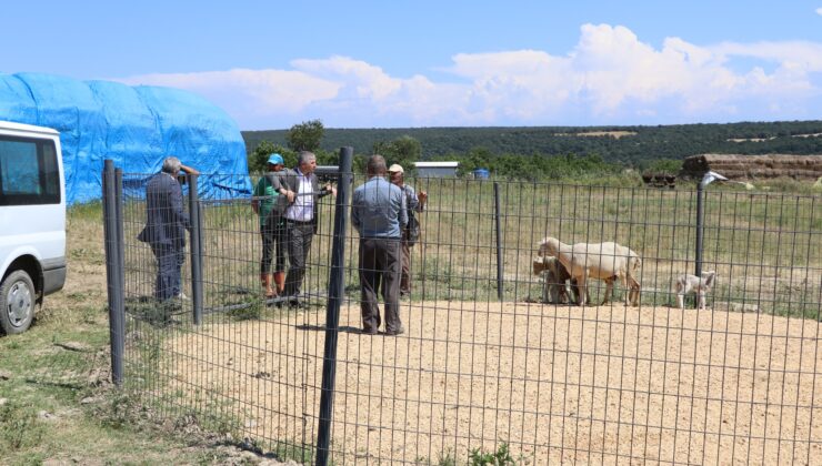 Hayvan yıkama havuzu hizmete sunuldu