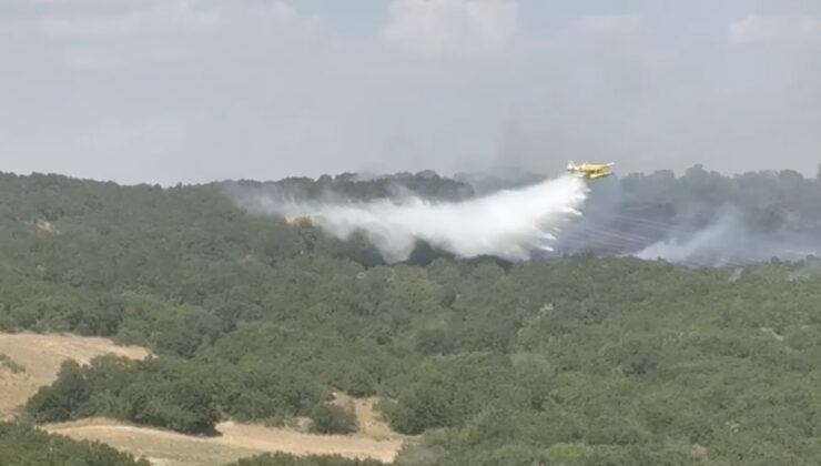 Orman yangını söndürüldü