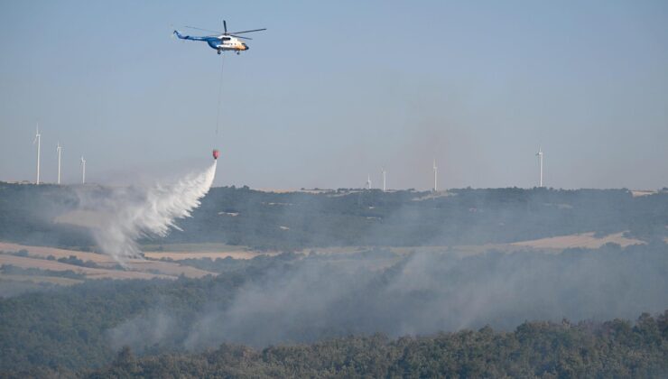 Bir orman yangını daha