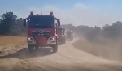 Bulgaristan’da yangın