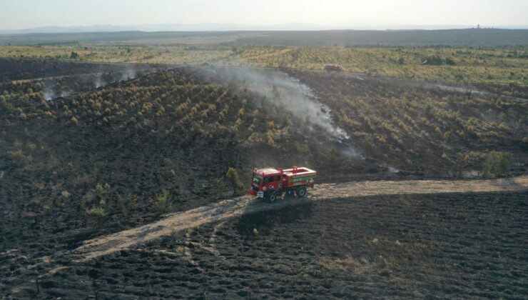 Ceviz bahçesindeki yangın ormana sıçramıştı