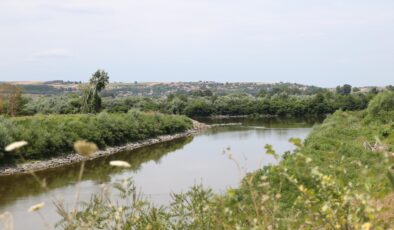 Meriç Nehri yatağında temizlik yapılacak