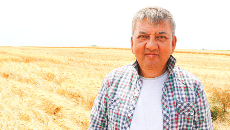 Erkenci buğday çeşidinde yüksek verim