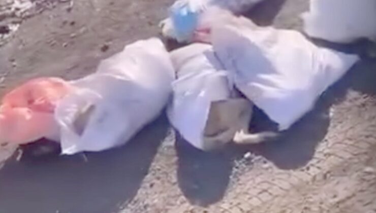 Çuvallarda ölü bulunmuşlardı