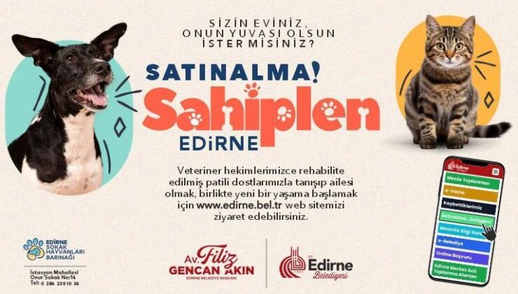 “Satın alma, sahiplen”