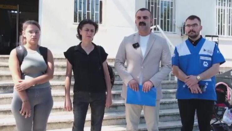 Ölen köpekler için suç duyurusu