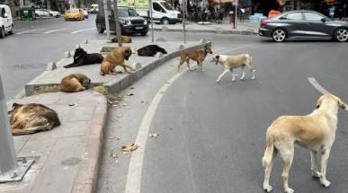 Özel’den belediye başkanlarına çağrı