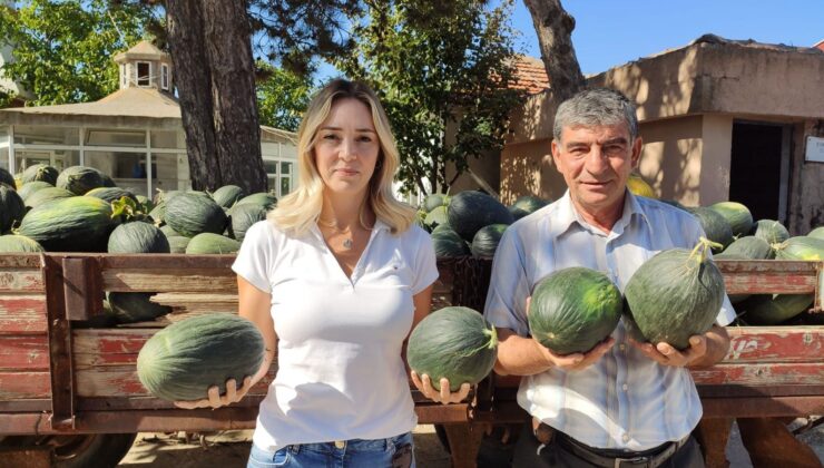 Kavun üreticisi zorda