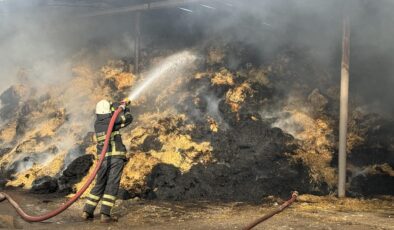 Çiftlikte çıkan yangın söndürüldü