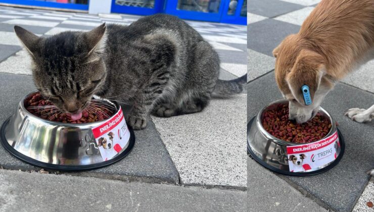 TREPAŞ, can dostlarımızı unutmadı