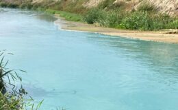 Turkuaz akmaya başladı