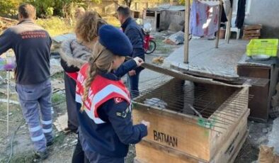 Yasaklı ırk köpek besleyen kişiye ceza