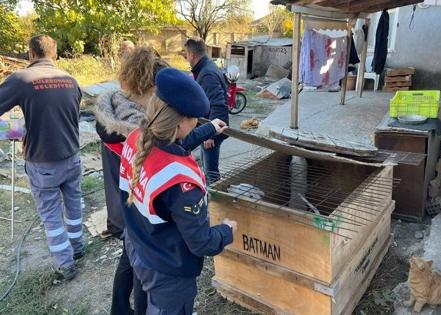 Yasaklı ırk köpek besleyen kişiye ceza