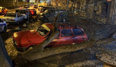 Üzerine ağaç devrilen otomobilde hasar oluştu