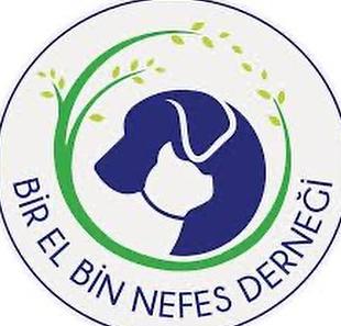 Bir El Bin Nefes’ten veda