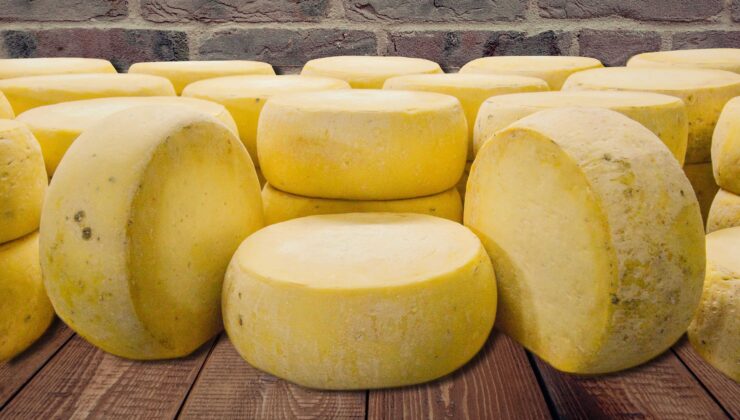 Malkara eski kaşarı AB yolunda