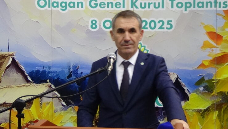 Ayçiçeğinde kara sezon