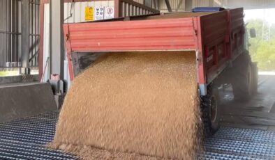 Borsada buğday uçuyor