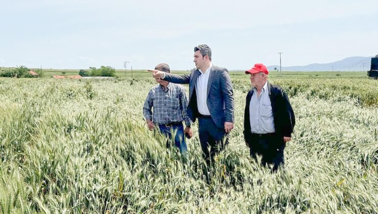 “Üretici aylardır desteği alamıyor”