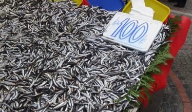 Hamsi 100 liraya düştü