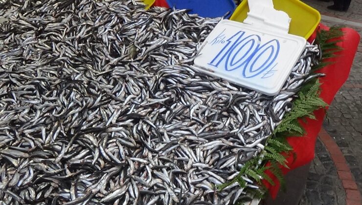 Hamsi 100 liraya düştü