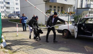 Sahipsiz köpeğin saldırısına uğradı