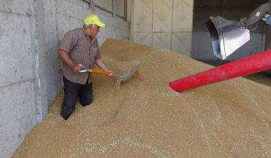 Buğday fiyatında yeni rekor