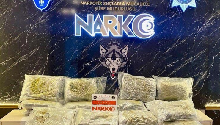 TIR’dan uyuşturucu çıktı