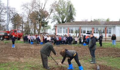 Dersimiz ‘Ormancılık’