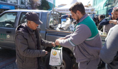10 bin çam fidanı dağıtıldı