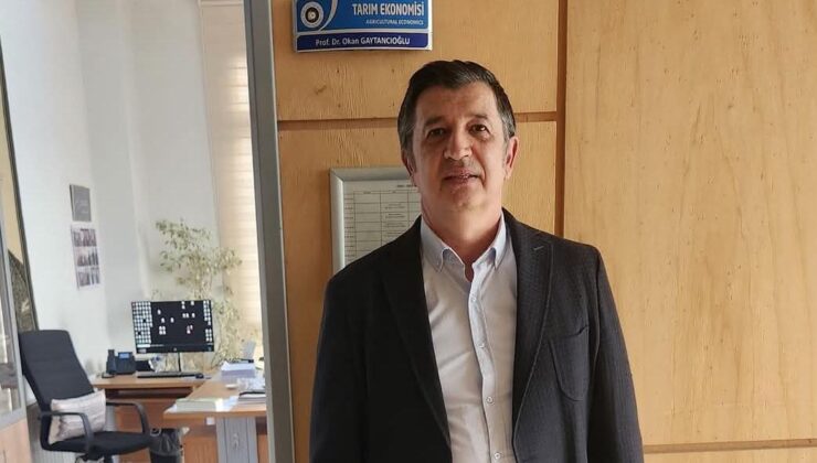 Gaytancıoğlu profesör oldu