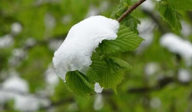 Peş peşe uyarı: Zirai dona dikkat!
