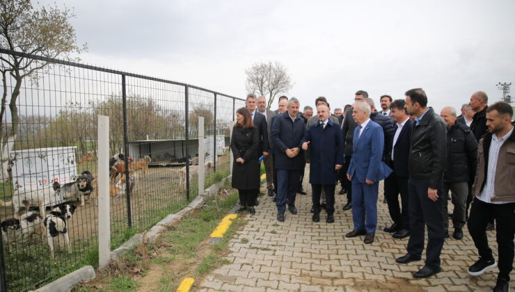‘Sokaklarda artık sahipsiz hayvanlar olmasın’