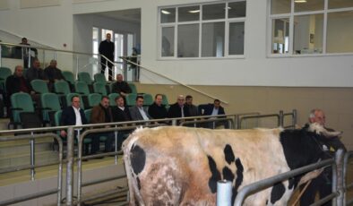 1,5 aydır kapalı tesis açılıyor